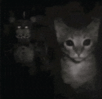 Cat Horror GIF