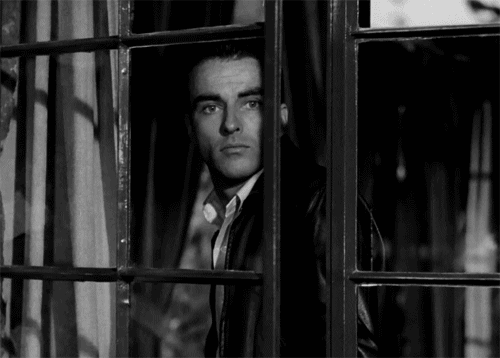 is it me youre looking for montgomery clift GIF by Maudit