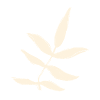 HawaiianTropic summer beauty beach skincare Sticker