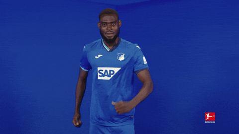 Happy Tsg Hoffenheim GIF by Bundesliga