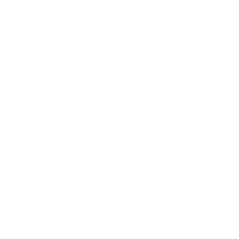 Ntpmm Sticker by Những Thành Phố Mơ Màng