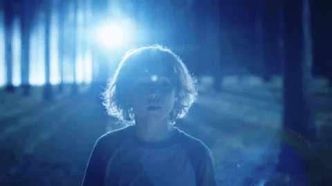 TheAvenue_Film giphyupload fantasy florida tiger GIF
