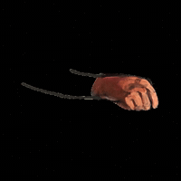 MUITEC muitec muiwow muionline GIF