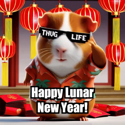 Guinea Pig Celebrations GIF by Guinea Gambino