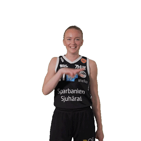 Basketball Sticker by Borås Basket