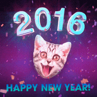 Celebrate New Year GIF by TJ Fuller
