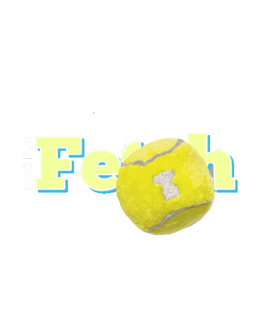 Dog Fetch Sticker by MISO PUP