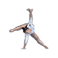 Fgi Sticker by Federazione Ginnastica d'Italia