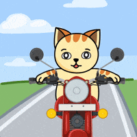 Driving Good Morning GIF by JPedicini