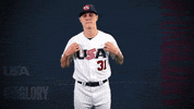Pro GIF by USA Baseball