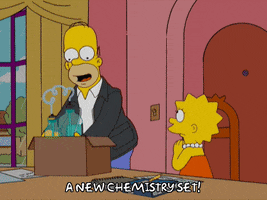 Lisa Simpson Gift GIF by The Simpsons