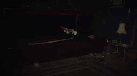 vampire GIF by What We Do In The Shadows