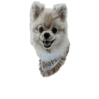Belluccifriends Sticker by Bellucci Manila