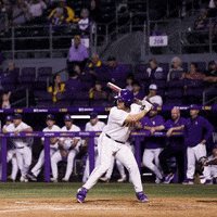 Baton Rouge Baseball GIF by LSU Tigers
