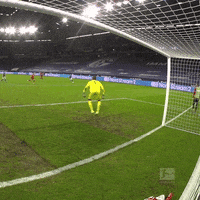 Save 1 Fc Cologne GIF by 1. FC Köln