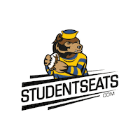 Football Michigan Sticker by Student Seats