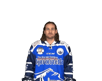 Hockey Wow Sticker by SCRIESSERSEE