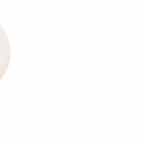 petso-llp social media 寵物 petso1992 好主人 GIF