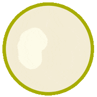 BareBra granola smoothiebowl frokost granolabowl Sticker
