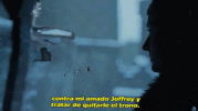 canekzapatap  GIF