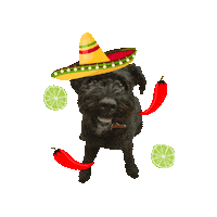 Puppy Sombrero Sticker by Copy Posse