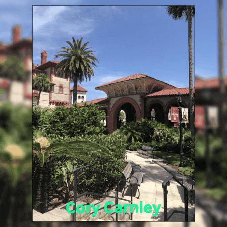 corycarnley giphygifmaker GIF