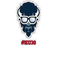 Hu30 Sticker by Howard University