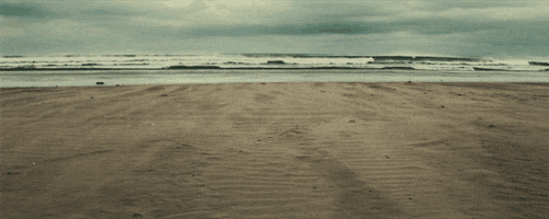 beach ocean GIF