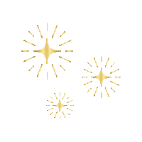 Christmas Star Sticker by Christ Fellowship Church
