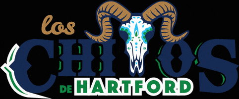 Yard Goats Smile GIF by Hartford Yard Goats