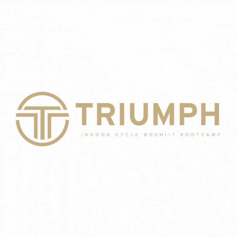TriumphStudio giphyupload GIF