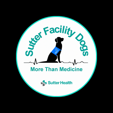 Sutter Dogs GIF by sutter health