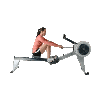 Machine Rowing Sticker by Concept2