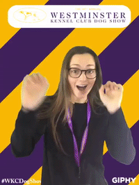 wkcdogshow GIF by Westminster Kennel Club