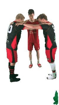 Hockey Fieldhockey Sticker by Global Sporting Goods