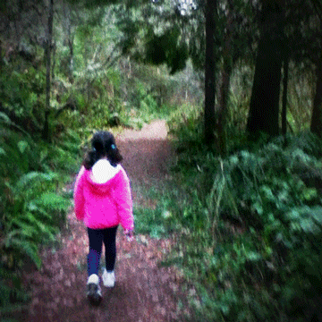 forest GIF