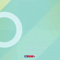 Goal Epl GIF by skysports