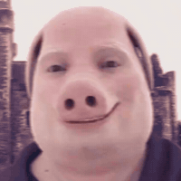 John Pork GIF by Respective