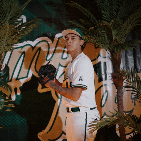 South Florida Baseball GIF by USF Athletics