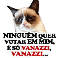 Vote Prefeito Sticker by Vanazzi