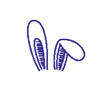 digaxisapp camera sol foto fotografia Sticker