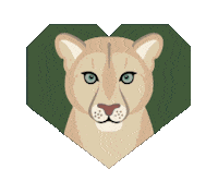 Big Cats Puma Sticker by Pantheracats