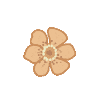 Girl Group Flower Sticker by Anne Wilson