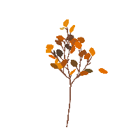 artofkaiac fall pretty autumn tree Sticker