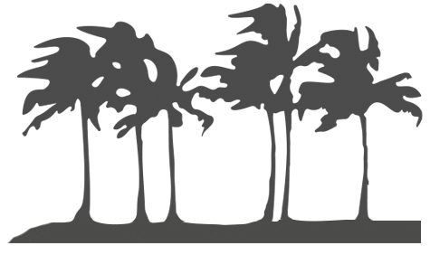 Palme Sticker by KiteWorldWide