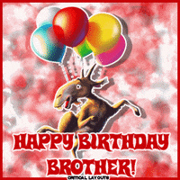 Happy Birthday Brother GIF