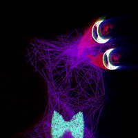 LineApeClub obscure line ape club obscure prints line apes GIF