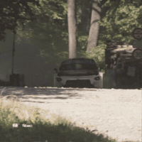Czech Erc GIF by FIA European Rally Championship