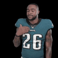 Philadelphia Eagles No GIF by NFL
