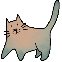 pavaconda cat gatto funnycat pavaconda Sticker